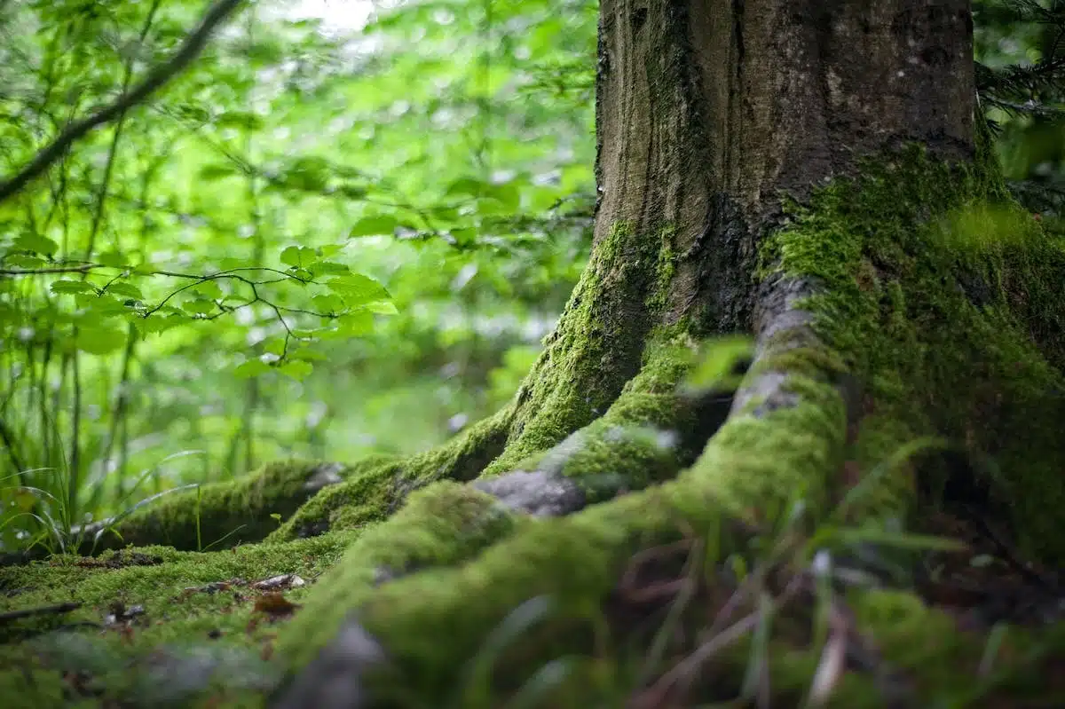 bretagne  crowdfunding